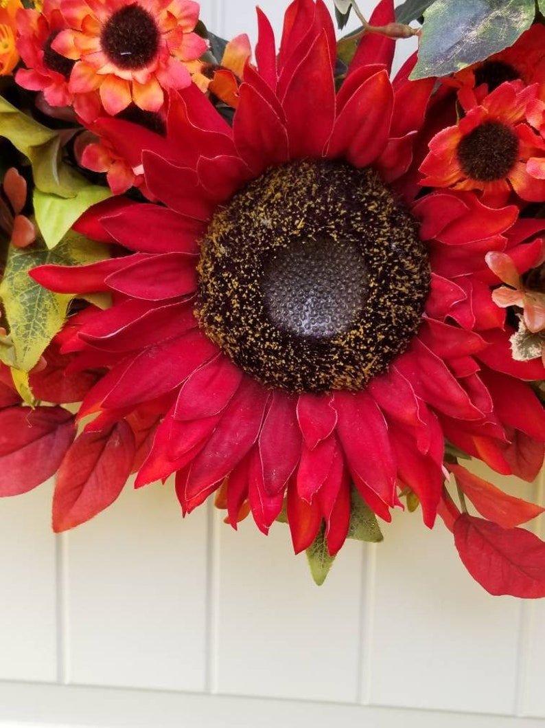 May include: A red sunflower with a dark brown center and yellow pollen. The sunflower is surrounded by green leaves and other red flowers.