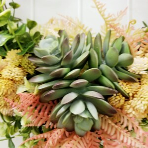 Faux Succulent Front Door Wreath, Year Round Everyday Grapevine Wreath ...