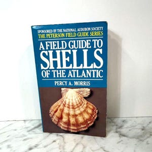 May include: A hardcover book titled A Field Guide to Shells of the Atlantic by Percy A. Morris, part of The Peterson Field Guide Series. The blue cover features white text and a large, detailed illustration of a tan and brown fan-shaped seashell.