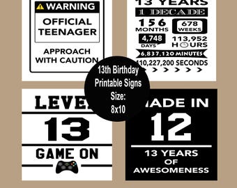 Letreros para 13.º cumpleaños, pósteres para 13.º cumpleaños, póster con datos de cumpleaños de 2010, decoraciones para fiesta de 13.º cumpleaños, letrero de videojuego, descarga instantánea