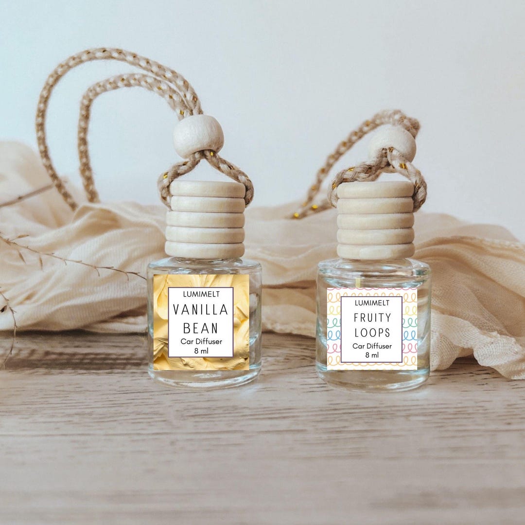 2 Pack Car Diffuser Set | Vanilla Bean & Fruity Loops Car Air Freshener ...