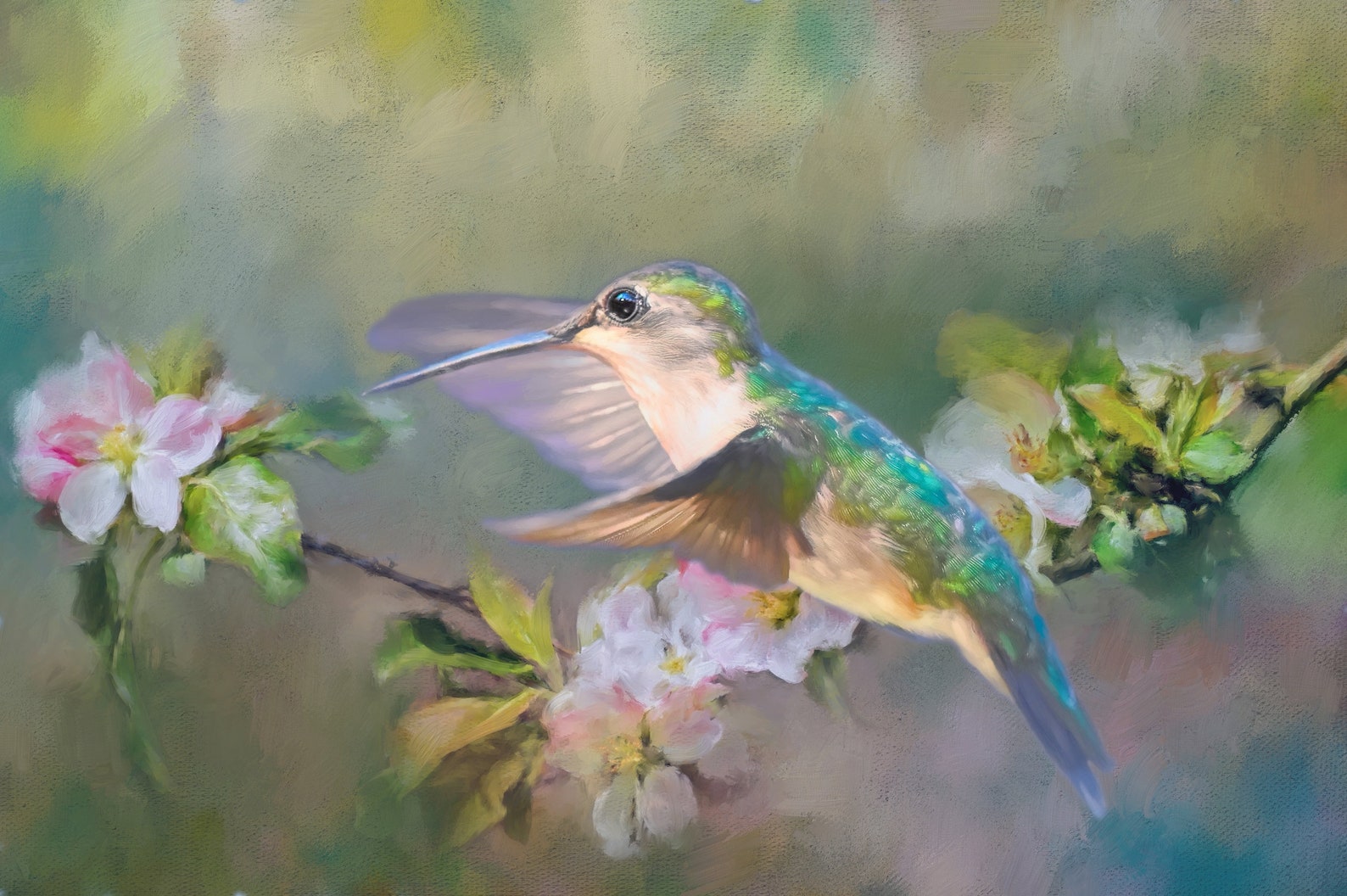Malvorlage blumen mit kolibri Idea