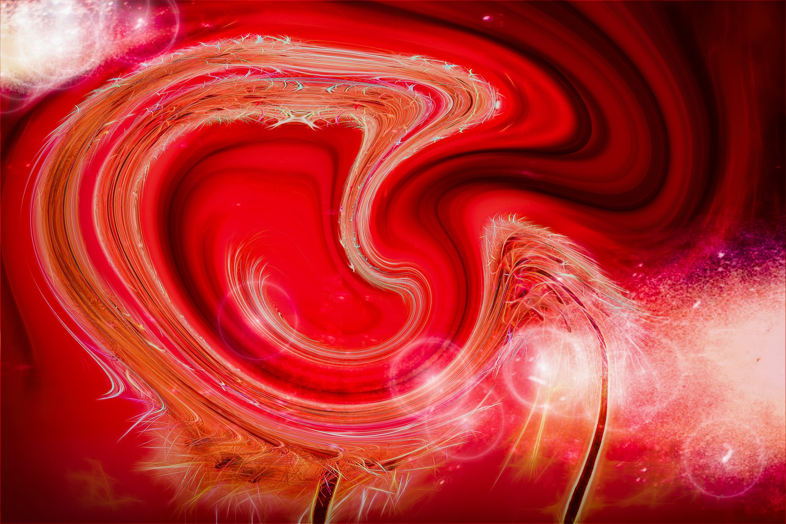 Abstract Fluid Red Art Contemporary Wall Art Modern Art Etsy