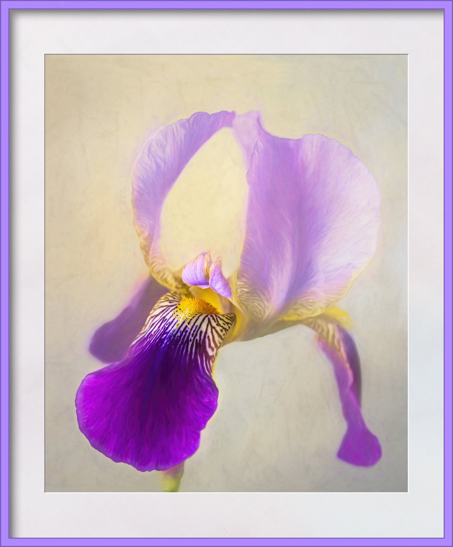 Purple Bearded Iris Wall Art Bearded Iris Print Romantic Etsy