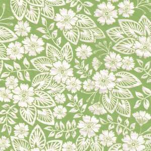 Puede incluir: Un patrón sin costuras con flores blancas y hojas sobre un fondo verde. El diseño es intrincado y detallado, con un toque vintage.