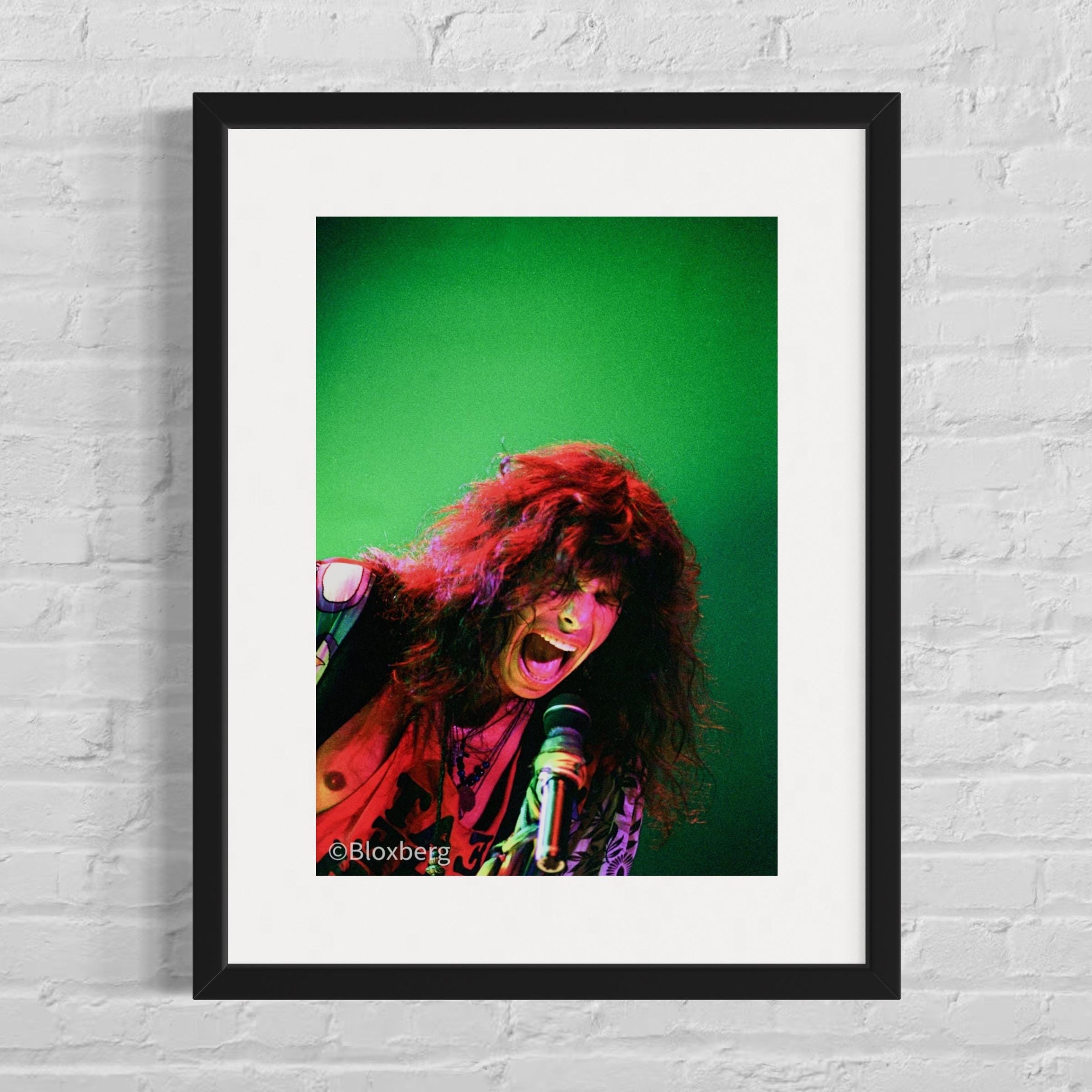 Steven tyler - Etsy 日本