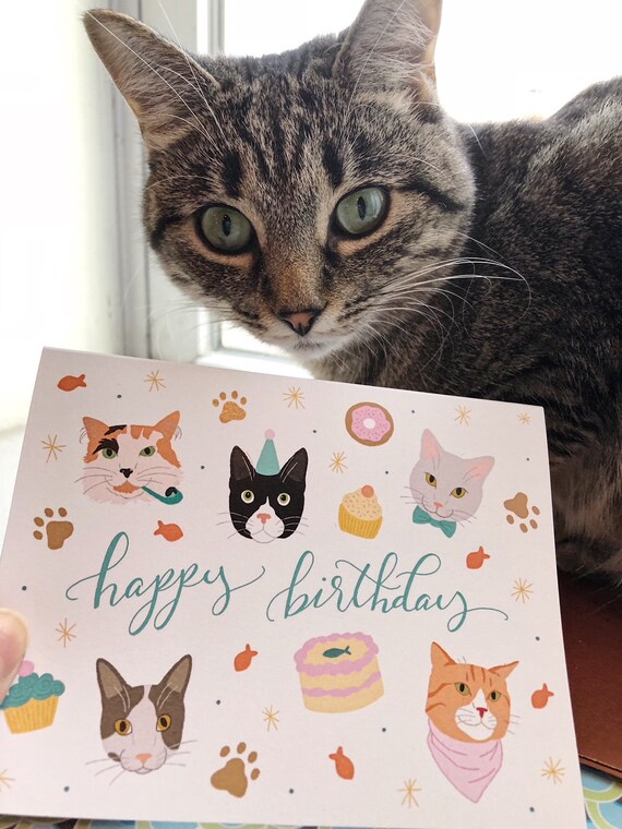 happy birthday cats card