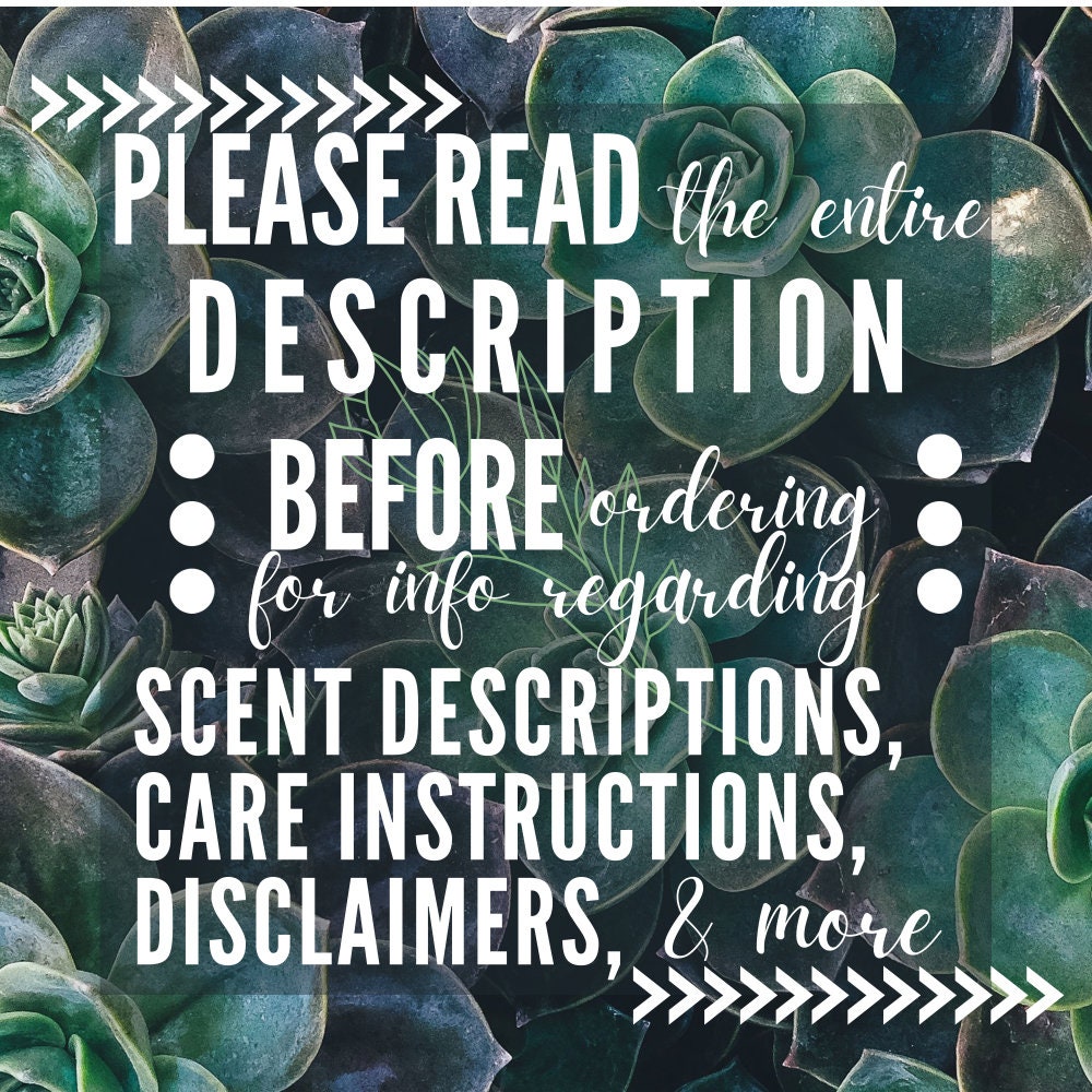 Sea Turtle Car Air Freshener Car Freshie Sea Turtle Car Etsy