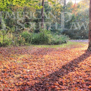 Fall Background | Autumn Backdrop | Firefly, Shadows : Halloween Thanksgiving - Digital Download Photo - Photoshop / Scrapbook Print | Craft