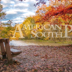 Fall Bench Overlooking River - Photoshop Background | Autumn Background : Digital Download Photo - Photoshop / Fall Background / Overlay