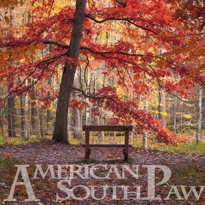 Fall Bench Photoshop Background | Autumn Background : Halloween Thanksgiving - Digital Download Photo - Photoshop / Scrapbook Print | Craft