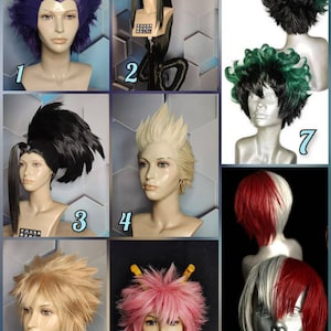 Cosplay wig Custom Order