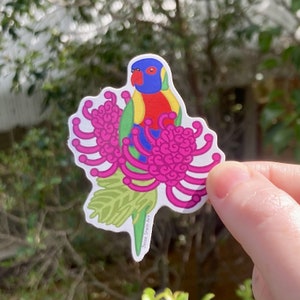 Rainbow Lorikeet and Grevillea Vinyl Sticker - Australian Animals and Flowers - Die Cut Vinyl Sticker - Laptop Decal