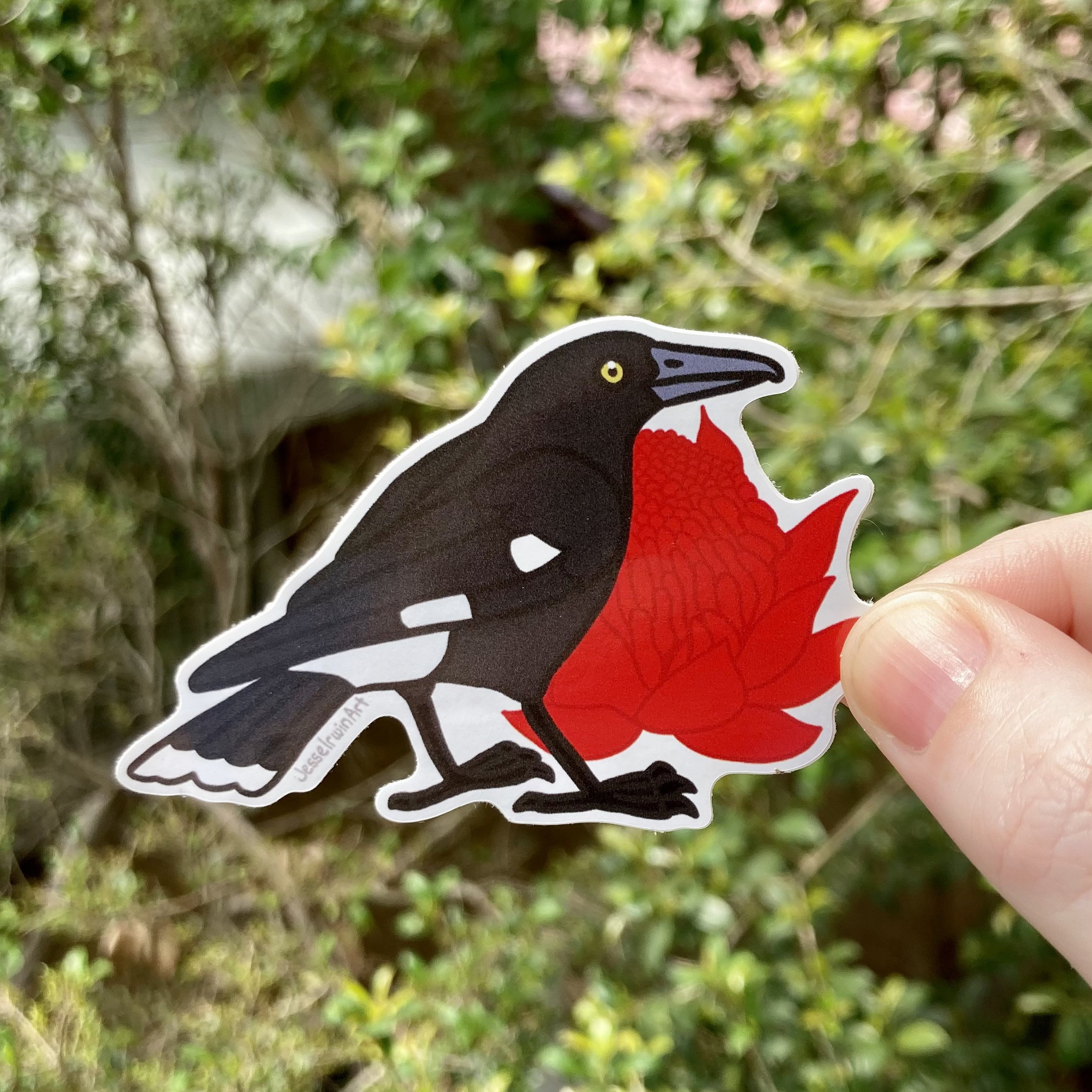 Currawong and Waratah Vinyl Sticker - Australian Animals and Flowers ...