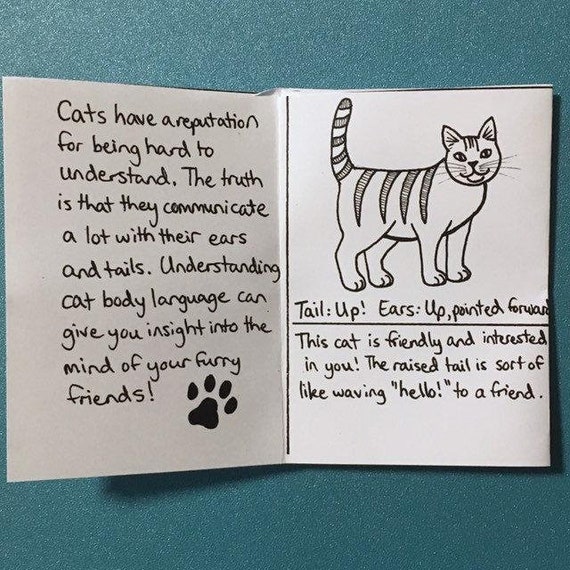 Language: A Beginners Guide Zine - Etsy