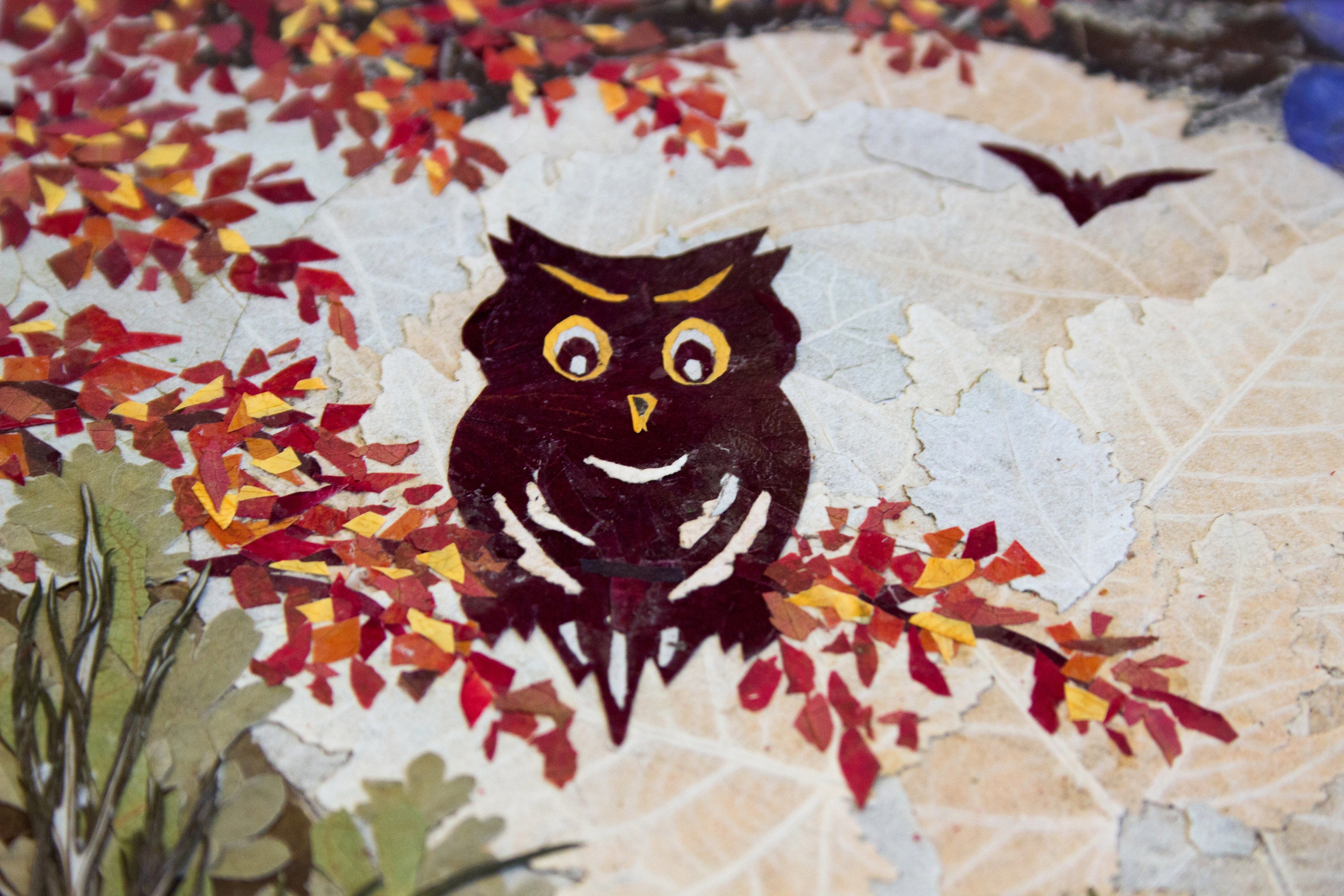 Owl and Moon Original Artwork Pressed Flower Art Dried Flowers