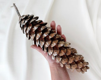 Riesen Tannenzapfen (23-32cm): Natürliche Weihnachtsdeko