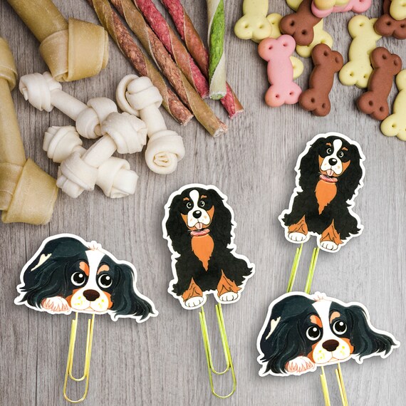 Cavalier King Charles Spaniel 2020 Dog Calendar 15/% OFF MULTI ORDERS!