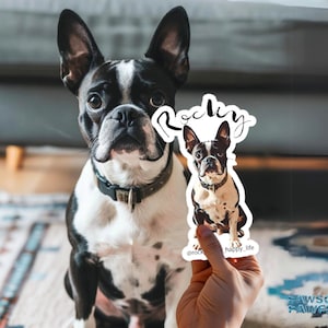 Custom Pet Sticker Using Your Pet Photo Custom Dog Sticker Custom Cat Sticker Custom Dog Decals Dog Stickers for Cars Dog Decals for Cars