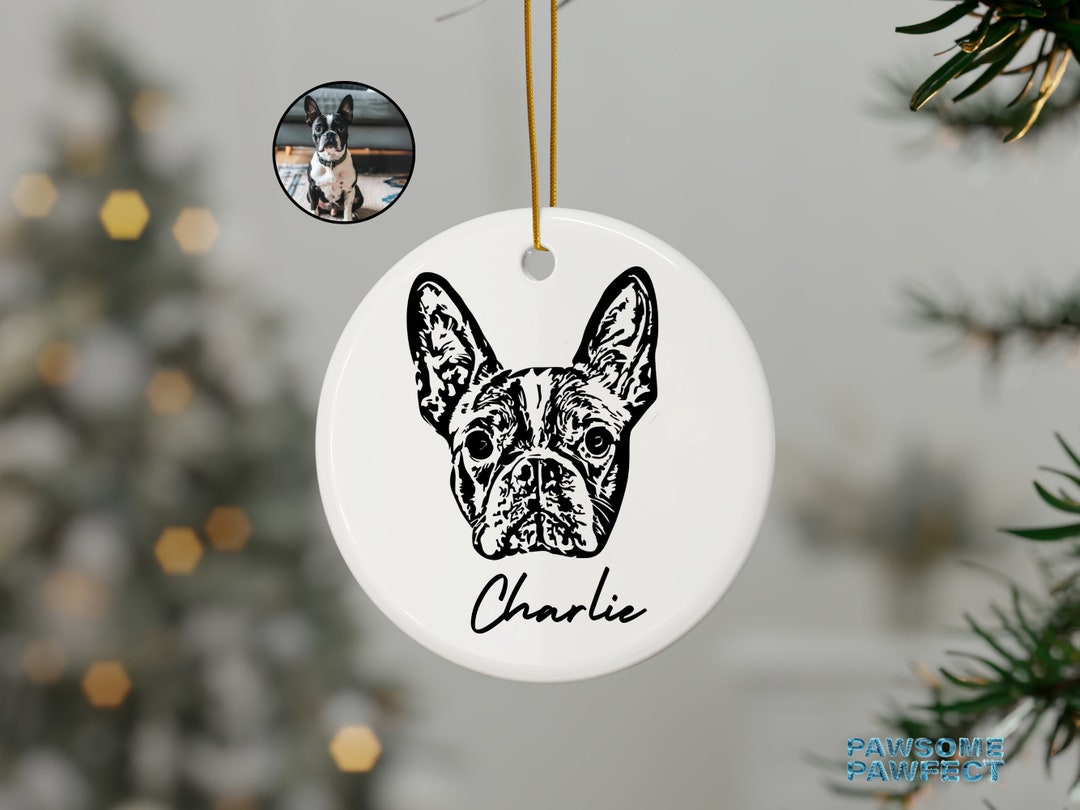 Personalized Pet Ornament Using Pet's Photo + Name - Custom Ornament ...