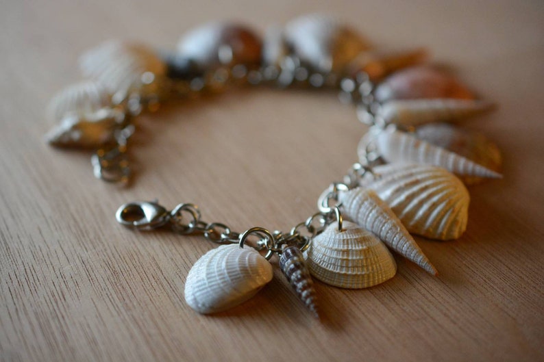 Sanibel Island Seashell Charm Bracelet Stainless Steel Chain Etsy