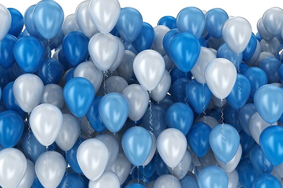 Wild Ones Birthday Decorations Kit Blue And White Balloons Etsy