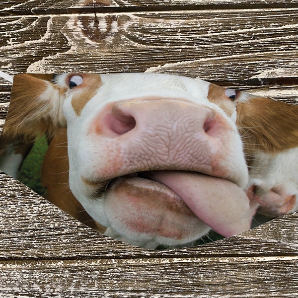 Vaca, Bovino, Vaquillona, Ternero, Toro, Cubrebocas, Máscara.