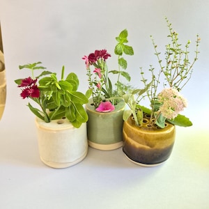 Può includere: Tre porta fiori cilindrici in ceramica con fori multipli sulla parte superiore, contenenti ciascuno varie erbe verdi fresche e piccoli fiori rosa e rossi. I vasi presentano una finitura color crema, verde chiaro e una smaltatura bicolore marrone e gialla.