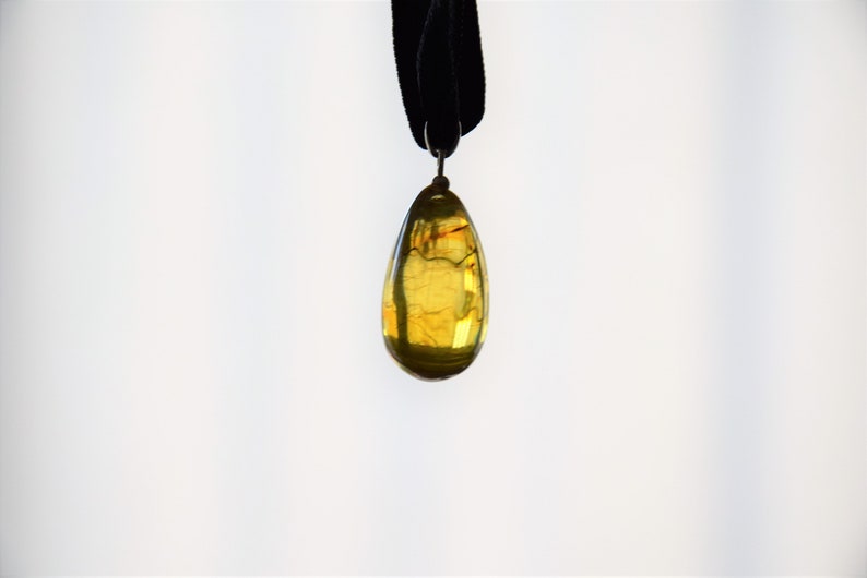 amber inclusions silver pendant amber jewelry Amber pendant Drop pendant amber amber necklace Baltic amber pendant natural amber