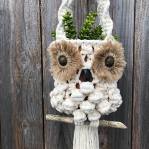 DIY MACRAME OWL Plant Hanger Pattern, Owl Plant Holder Photo tutorial, Learn to macrame, pdf instructions image 5