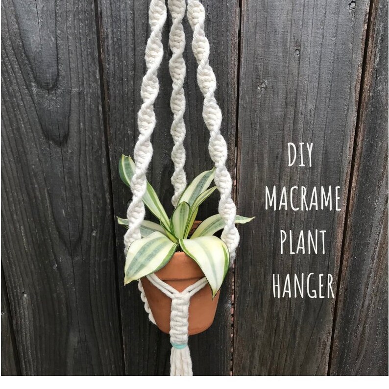 Macrame Plant Hanger Tutorial DIY Houseplant Holder Learn to Etsy