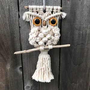 Macrame Owl Tutorial, Learn To Macrame, Adorable Owl Pattern, DIY, do it yourself, PDF instructions, cute fun gift, boho decor, owl lovers image 3