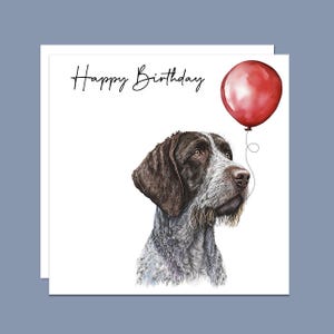 May include: A birthday card featuring a watercolour illustration of a German Shorthaired Pointer dog looking up at a red balloon. The card has the text "Happy Birthday" printed on it.