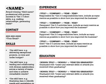 Professional Resume Template