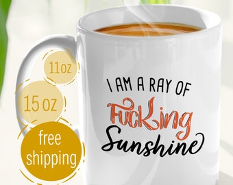 BIRTHDAY Gift Ideas, one funny sunshine Coffee Mug Christmas Gift for Best Friend, Sister, Girlfriend, Wife [I am a ray of fucking sunshine]