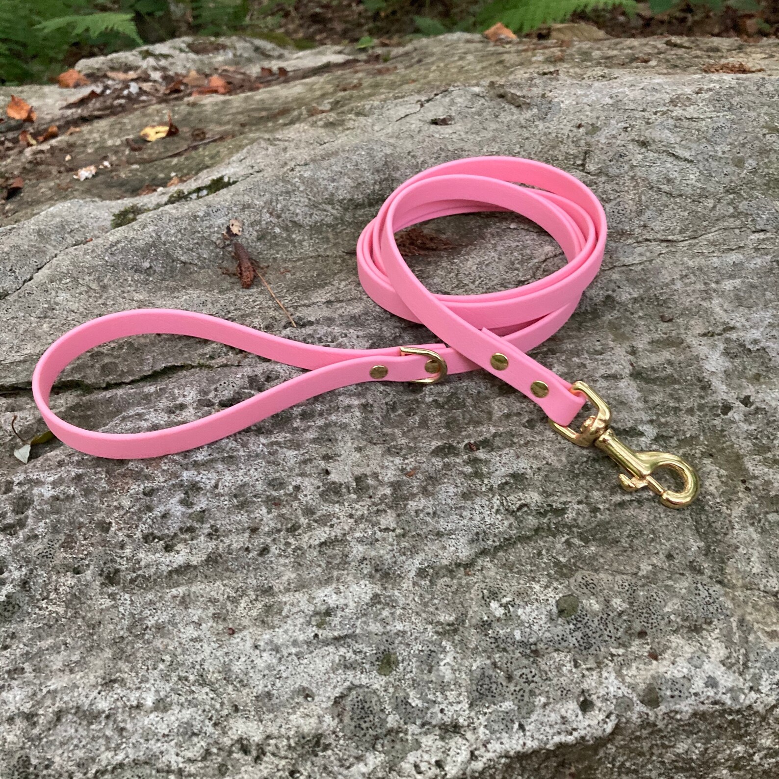 Waterproof Dog Leash Thin BioThane Durable Material Easy to Etsy