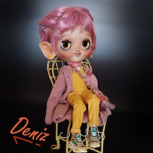 くぅ❁︎カスタムブライス❁︎ホームステイ❁︎オーダー・リクエスト