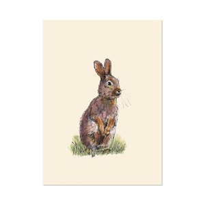 Rabbit, art gift print 5x7 Animal Watercolor Illustration, home wall decor