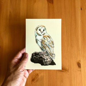 Puede incluir: Una pintura de acuarela de un b&uacute;ho com&uacute;n posado en una roca. El b&uacute;ho tiene plumas blancas con marcas marrones y ojos amarillos. La roca es marr&oacute;n y gris.