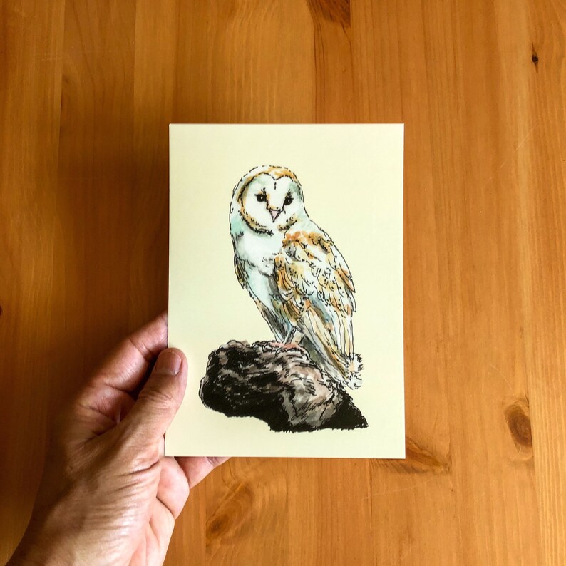 Puede incluir: Una pintura de acuarela de un b&uacute;ho com&uacute;n posado en una roca. El b&uacute;ho tiene plumas blancas con marcas marrones y ojos amarillos. La roca es marr&oacute;n y gris.
