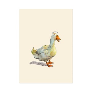 Waddle Duck, bird art gift print 5x7 Animal Watercolor Illustration, home wall decor