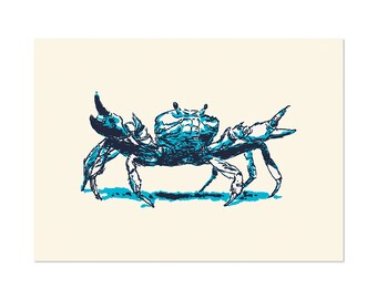Ghost Crab, art print 5x7 Sea Animal Illustration, home wall decor