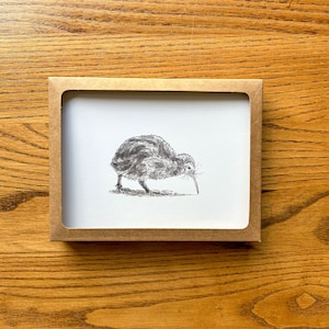 Kiwi Bird Card Boxed Set, white background, kiwi bird art stationery gift set