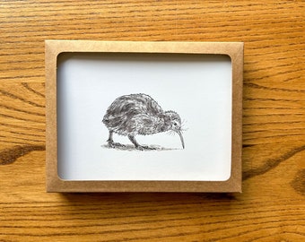 Kiwi Bird Card Set, Pen and Ink Art, Stationery Gift