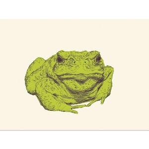 Toad Face, art print 5x7 Whimsical Animal Illustration, home wall decor