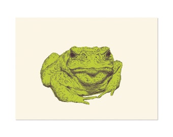 Toad Face, art print 5x7 Whimsical Animal Illustration, home wall decor