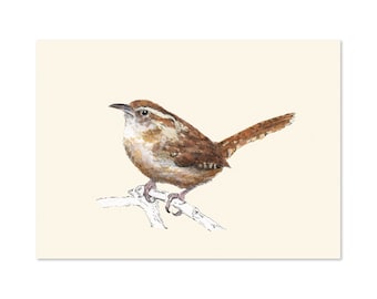 Carolina Wren, art print 5x7 Animal Illustration, home wall decor