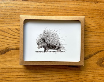 Porcupine Art Card Set, Pen & Watercolor, Stationery Gift