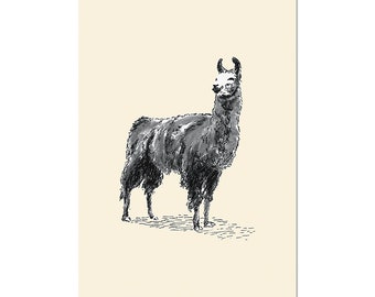 Happy Llama, art print 5x7 Animal Illustration, home wall decor