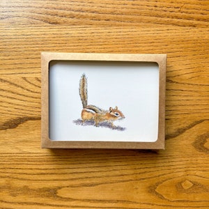 Curious Chipmunk Card Boxed Set, chipmunk art stationery gift set